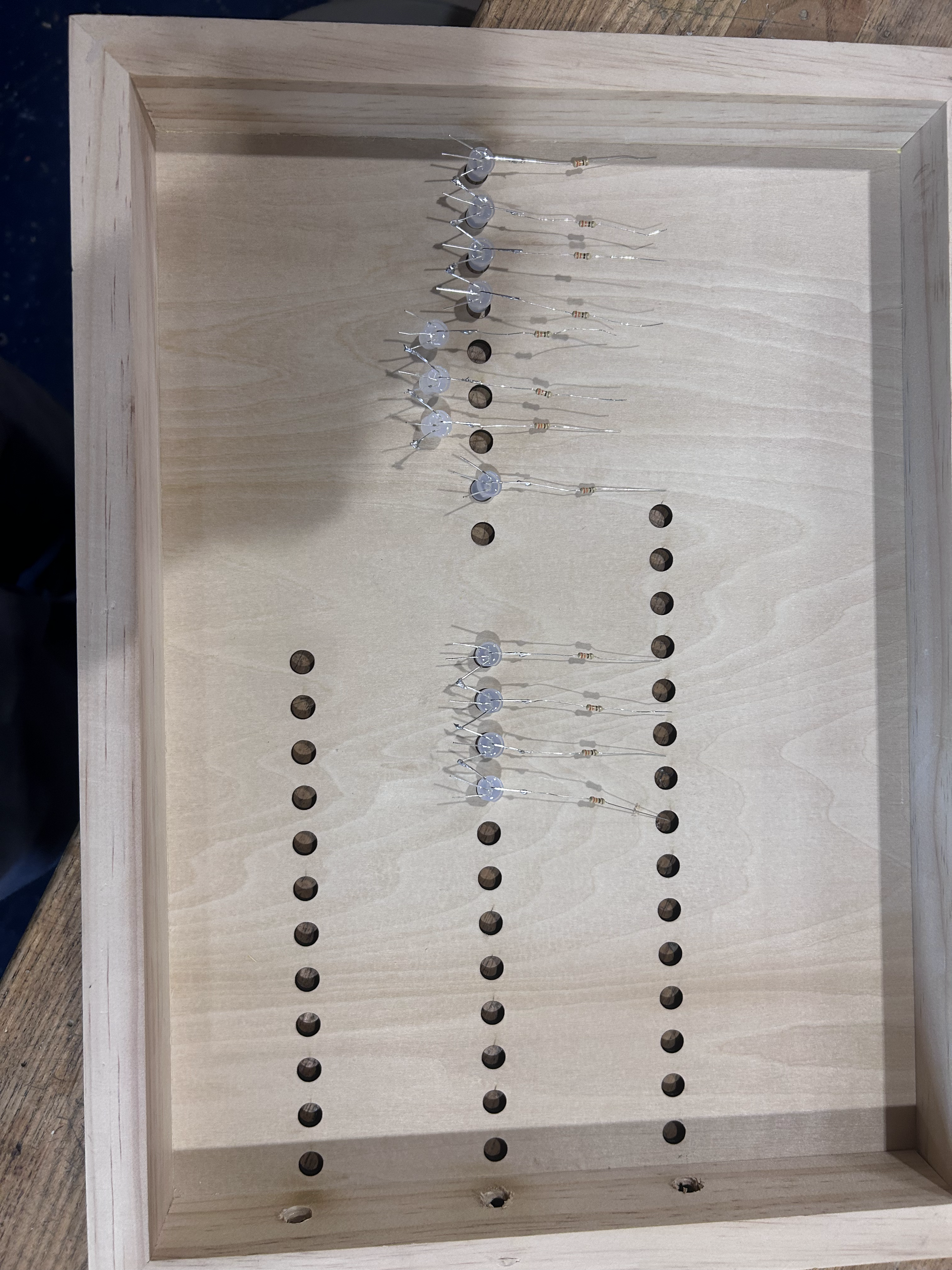 Project photo 2 — back